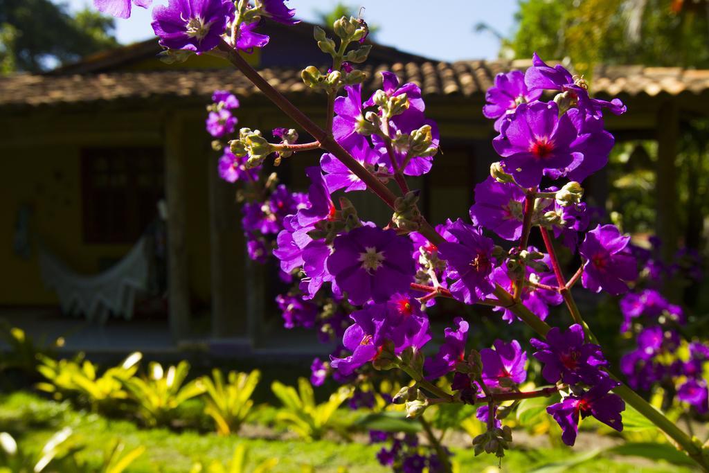 Pousada Casinhas Da Bahia Caraíva エクステリア 写真